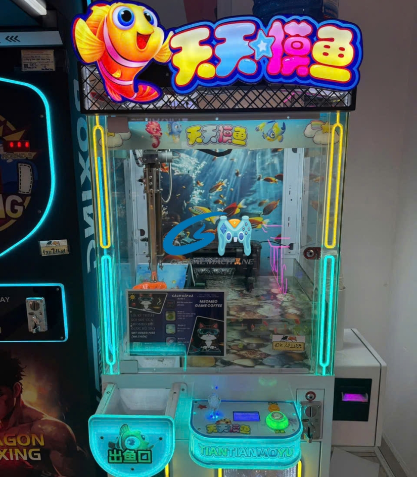 Máy Gắp Cá Thật (Real Fish Claw Machine) – Trải Nghiệm "Ngư Thủ" Độc Đáo Ngay Trong Tủ Kính