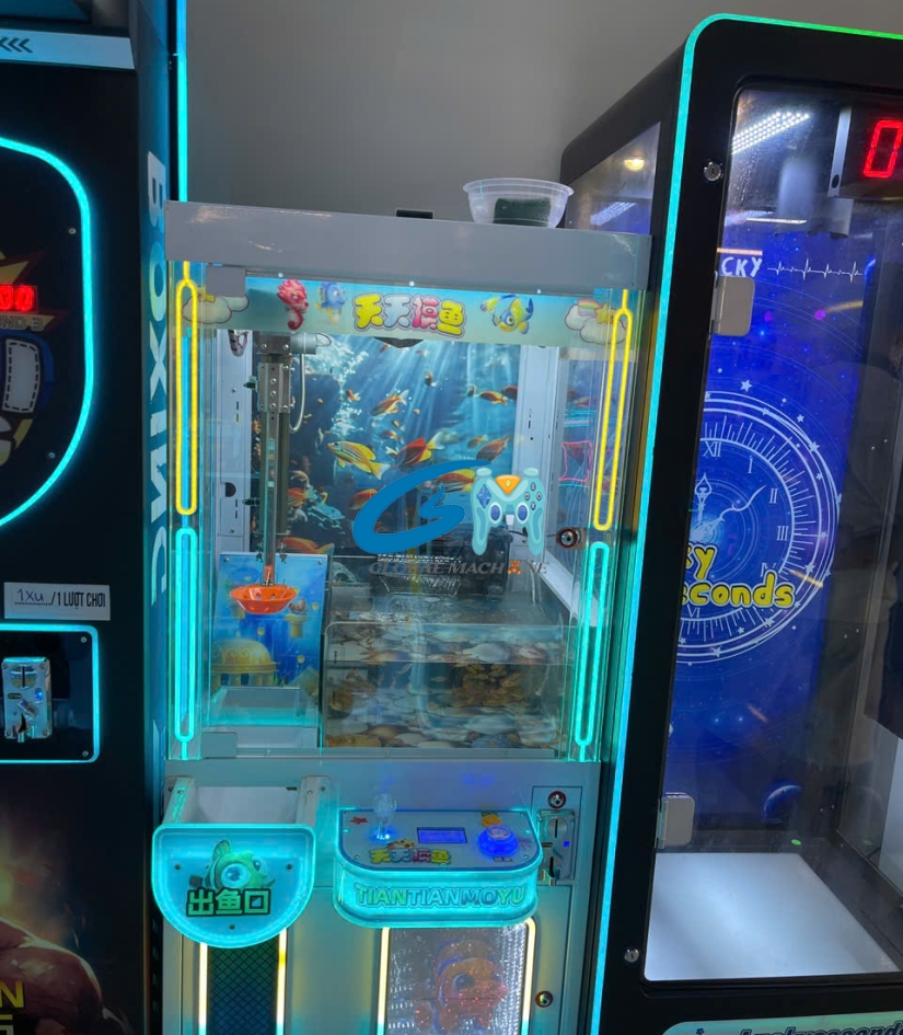 Máy Gắp Cá Thật (Real Fish Claw Machine) – Trải Nghiệm "Ngư Thủ" Độc Đáo Ngay Trong Tủ Kính